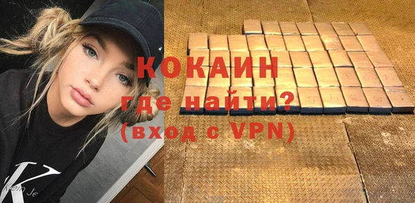 индика Семилуки