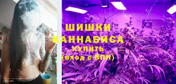 мдпв Снежногорск