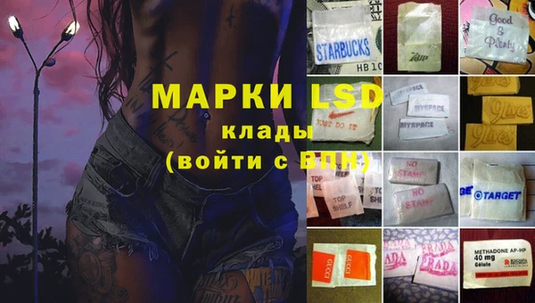 СК Вязьма