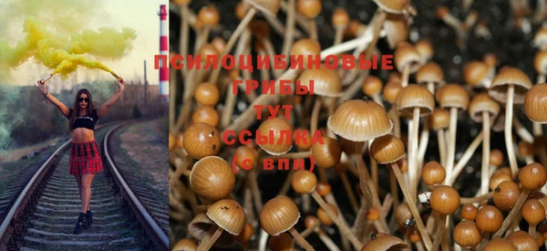 СК Вязьма