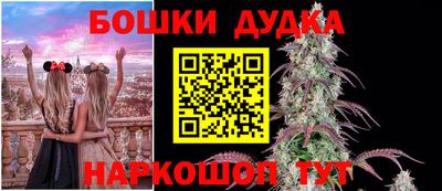гидра Волгодонск
