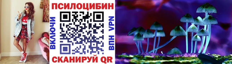 Галлюциногенные грибы Cubensis  darknet официальный сайт  Ноябрьск  наркотики 