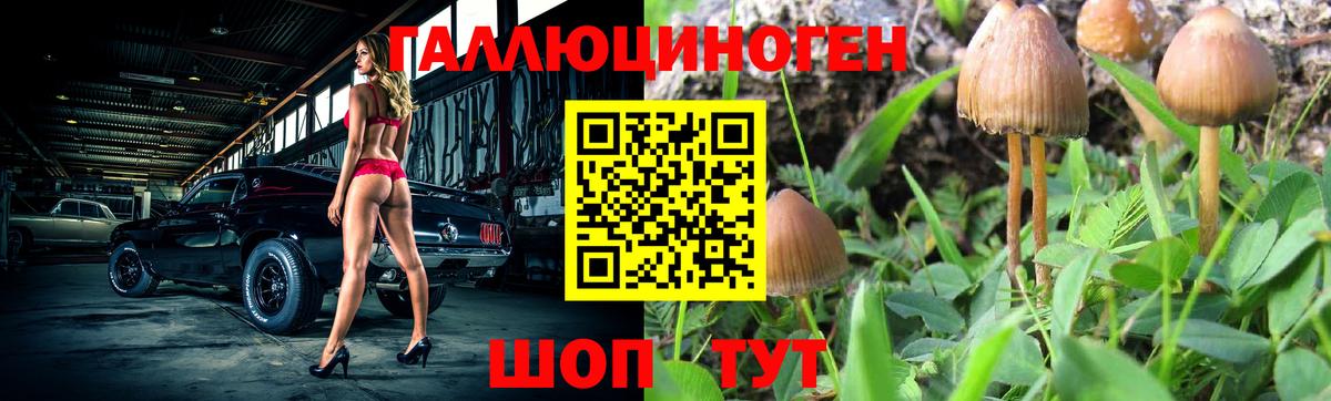 Галлюциногенные грибы Magic Shrooms Ноябрьск